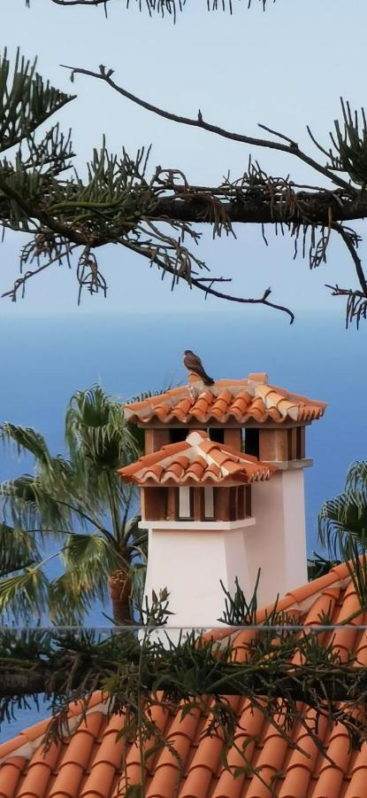 فيلا Casa Moja - La Palma تازاكورتي المظهر الخارجي الصورة